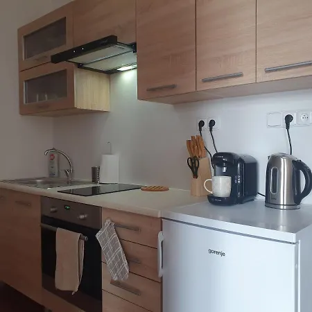 Apartman S Wellness *